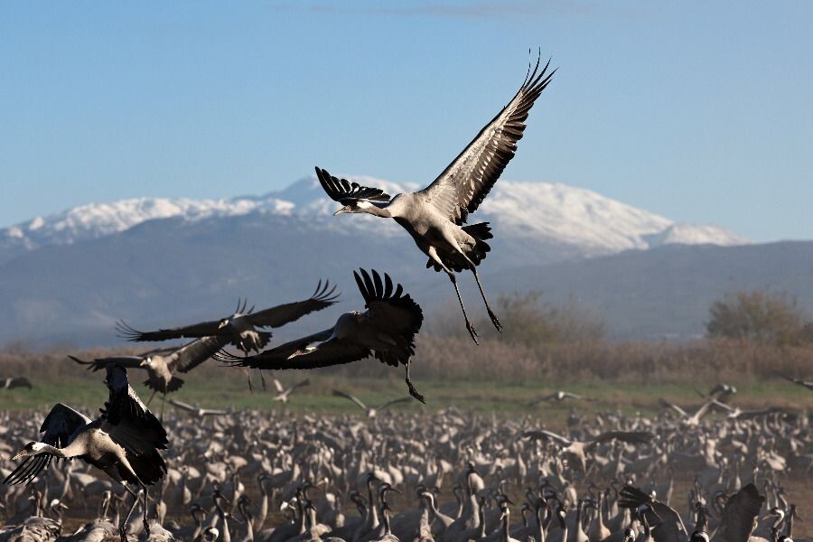     / Источник: © EPA/ATEF SAFADI/ТАСС