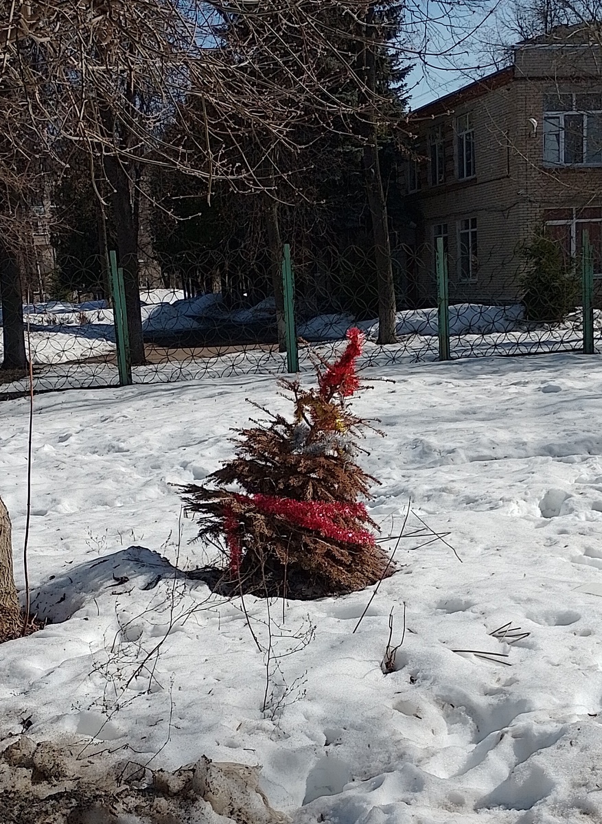 Фото автора.