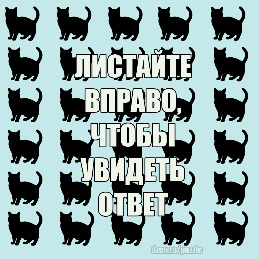 Ответ на прошлый выпуск