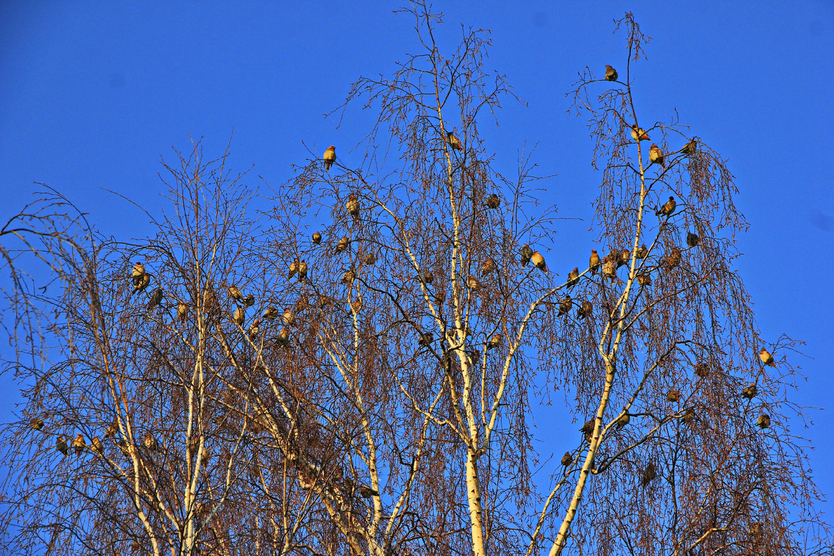 фотограф https://vk.com/id296798908