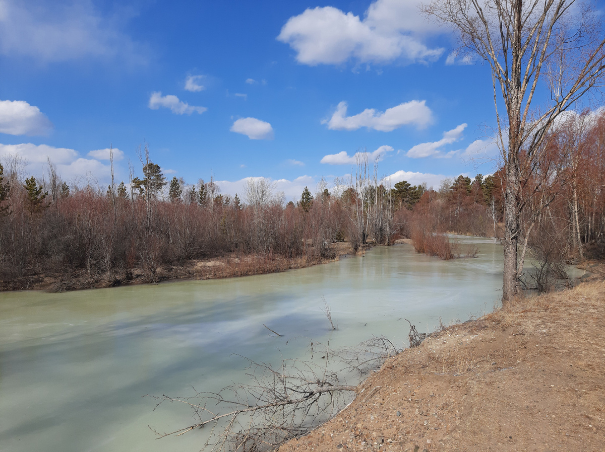 Уже слышна весенняя капель...