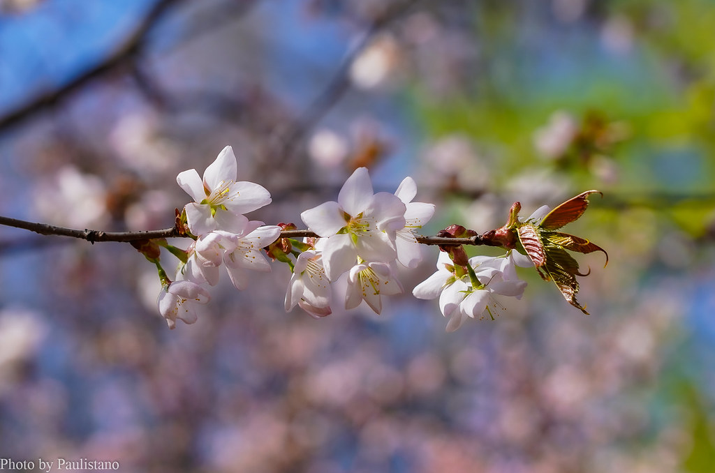 Источник: Flickr