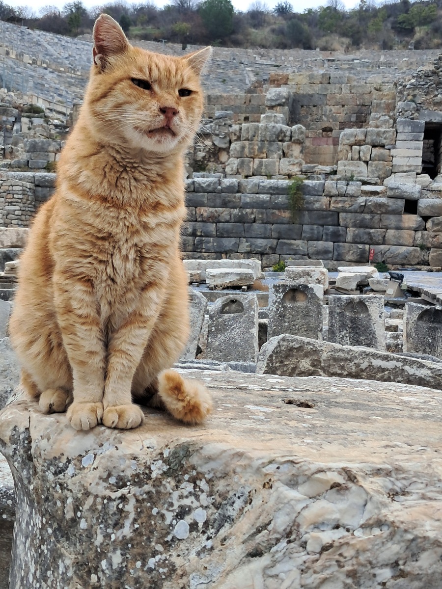 Эфес — это один из самых известных археологических памятников Турции
