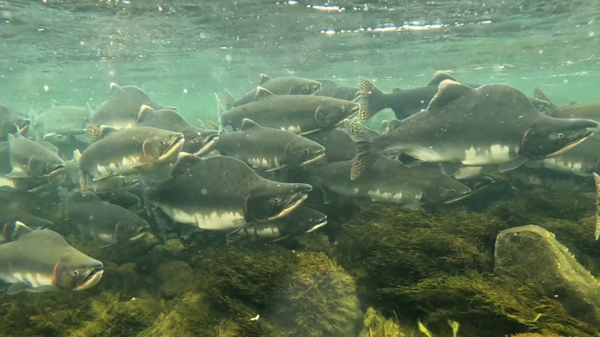 Фото: Malin Solheim Høstmark/Statsforvalteren i Troms og Finnmark