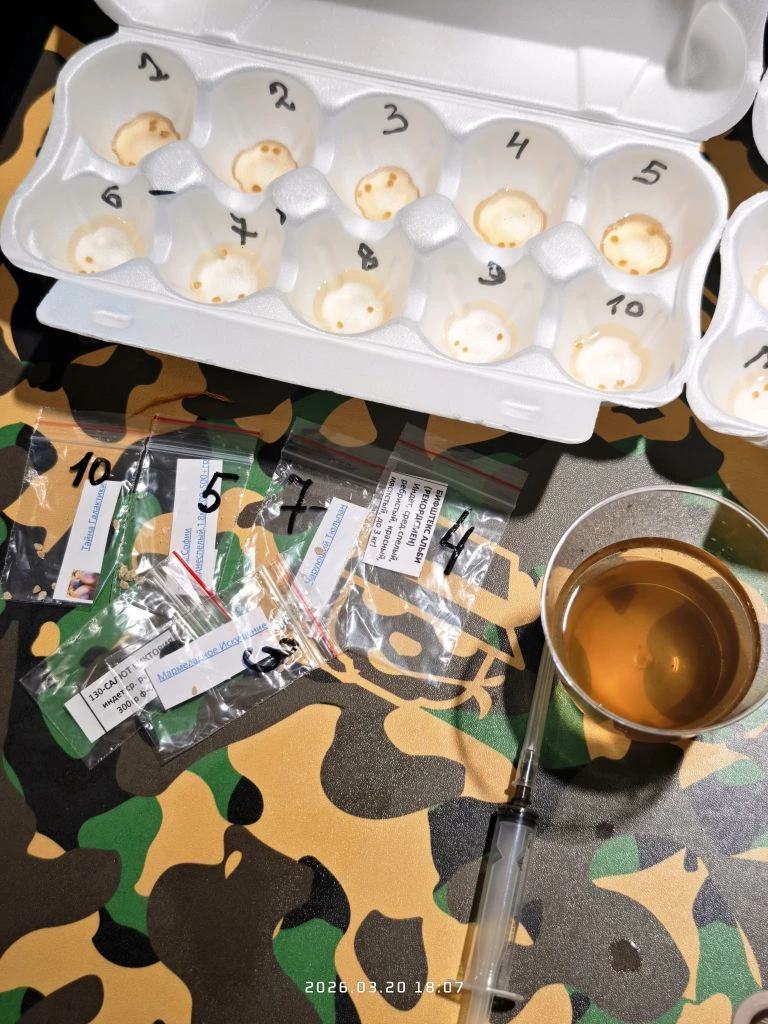 в ячейке №4 семена от чемпиона Минусинска помидора-гиганта, всего 2 семечка мне досталось, читай внизу