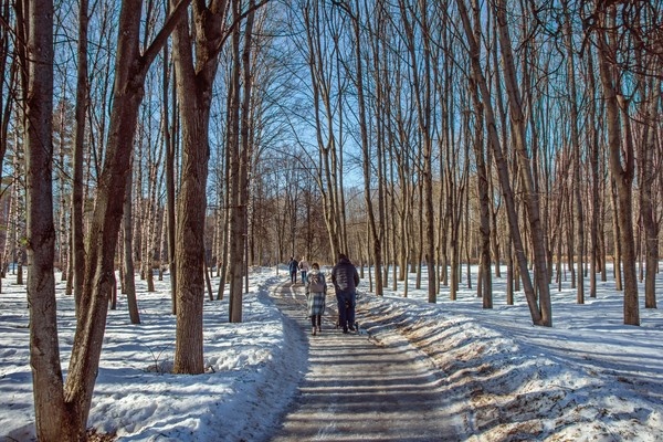 Свежо и ясно, самое время чтобы пройтись и подумать ... С Воскресением Вас!   

Весна в Москве...   

  