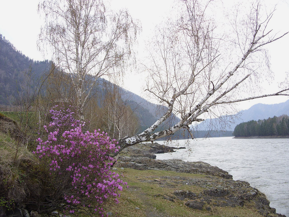 Фото: Gorovato / Wikimedia