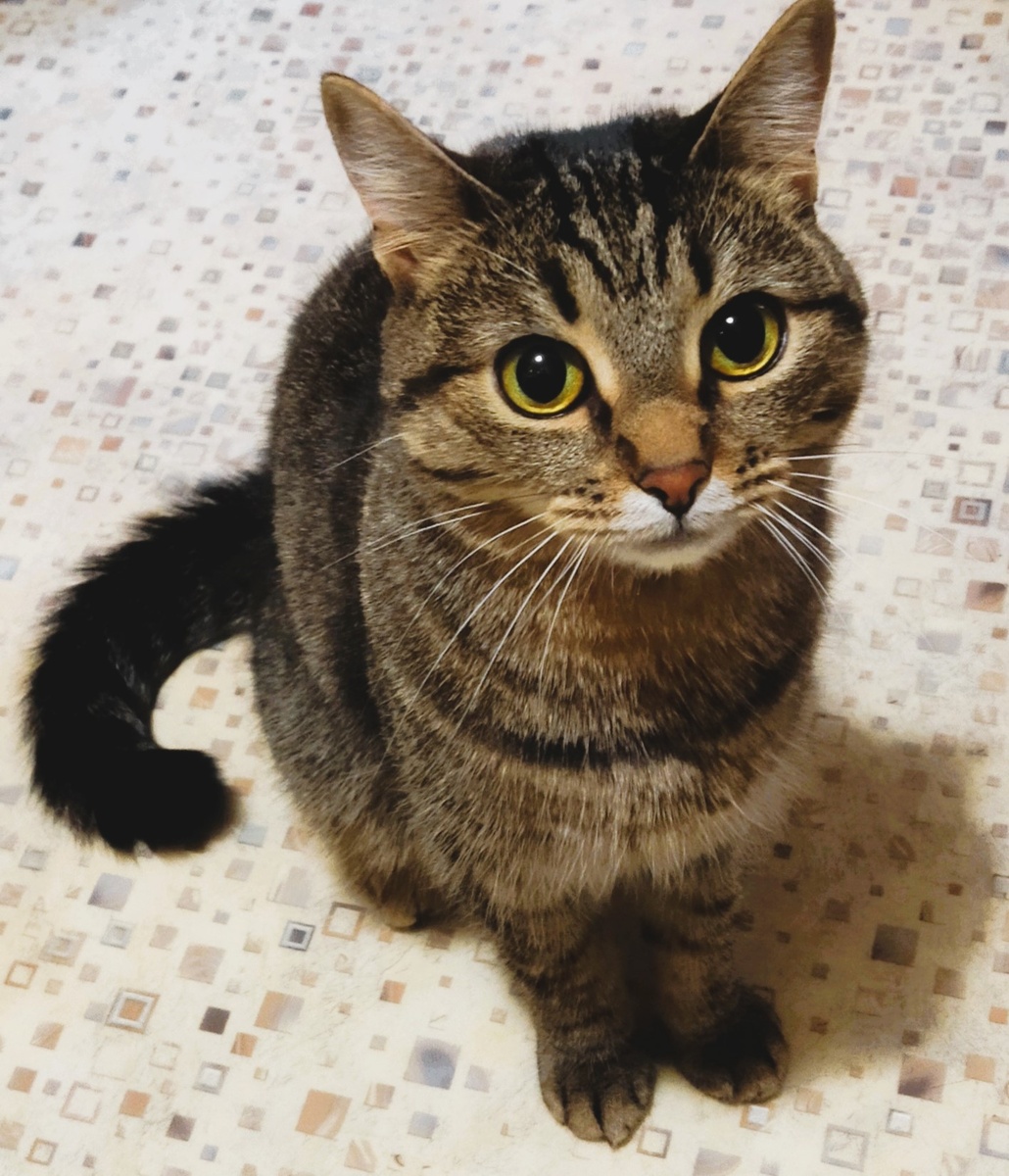 ФОТО АВТОРА