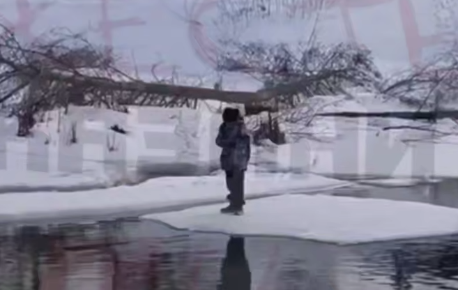    Фото: соцсети