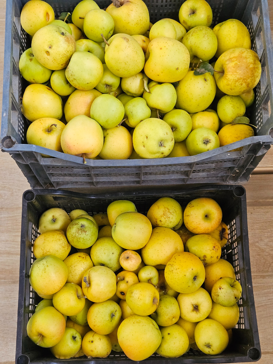 Часть урожая 2025