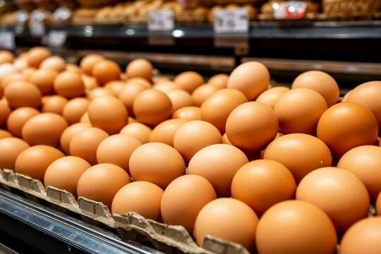    В ФРГ закончились яйца (фото: shedevrum.ai)