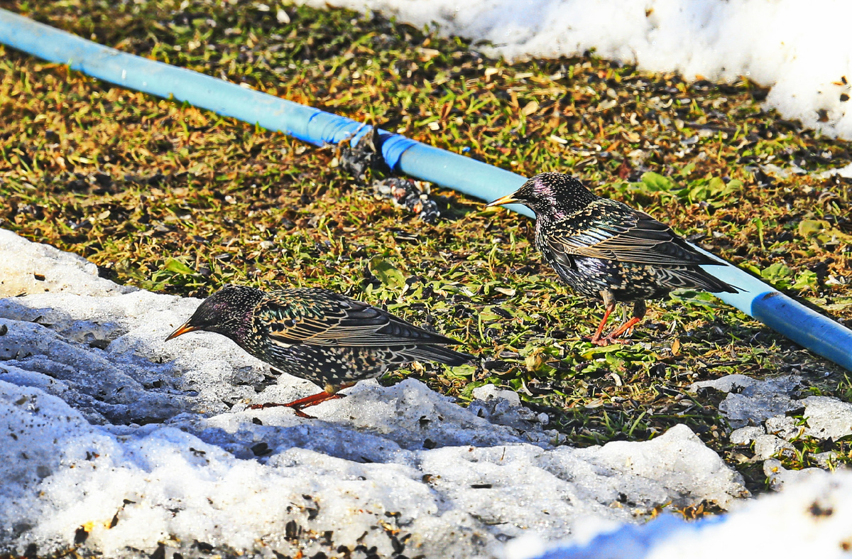 фотограф https://vk.com/id296798908