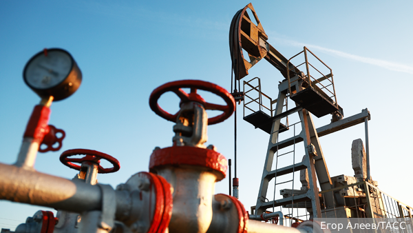     Фото: Егор Алеев/ТАСС   
 Текст: Ольга Самофалова