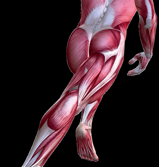 Спортивный протеин NOW вне рейтинга. Почему?