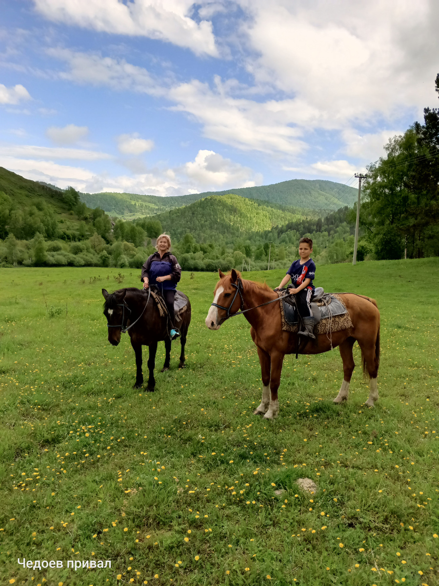 Прокат лошадей для детей