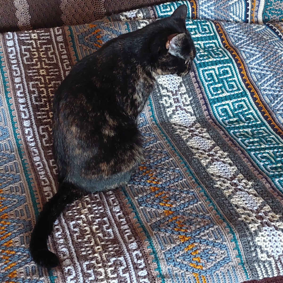 Лиза на контроле.