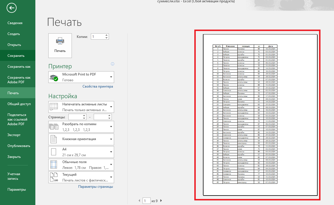 Предварительный просмотр в Эксель