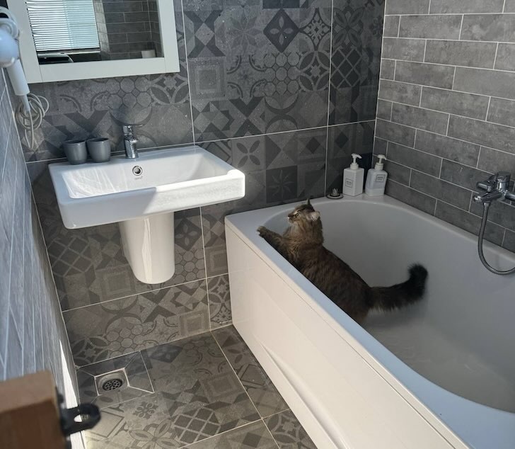    Фото: Пруфы