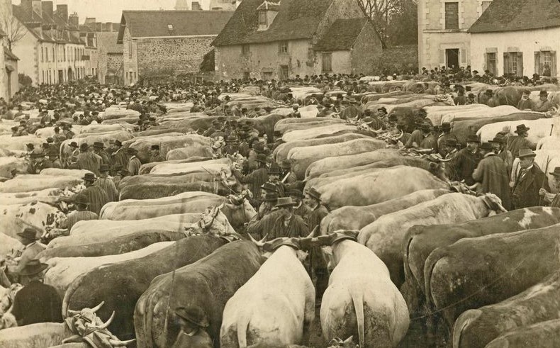 Фермеры объединяли коров, строили общие сыроварни, делили прибыль пропорционально надоям