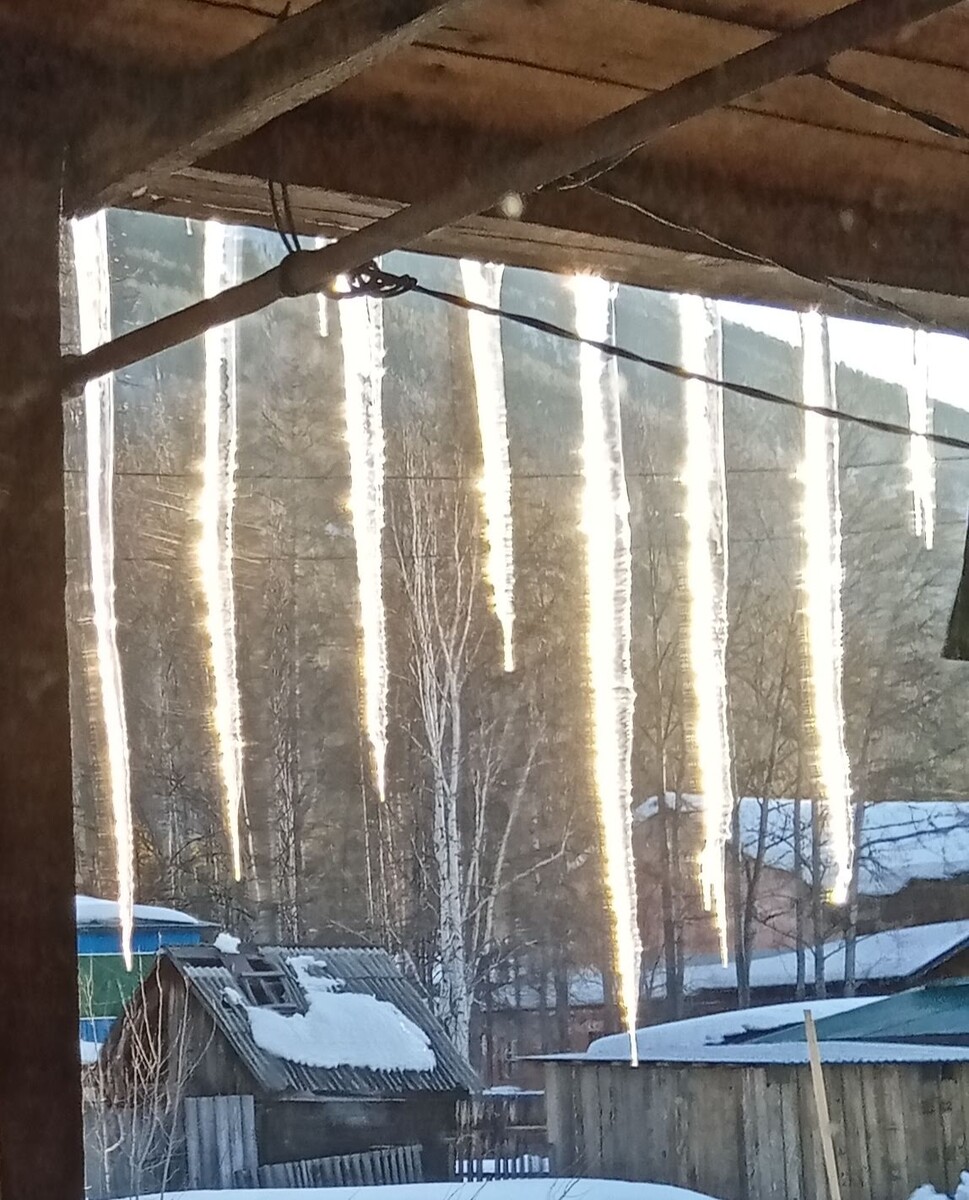 Фото 📷 автора.