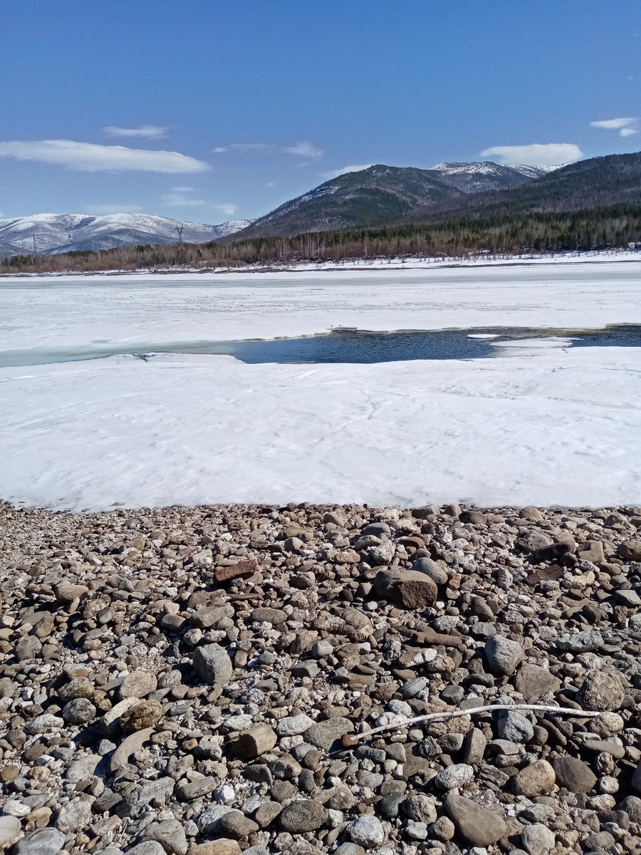 Фото 📷 автора. Нет-нет, это еще не нынче, фото сделано в прошлом году.А сейчас у нас еще сугробы. 🤭