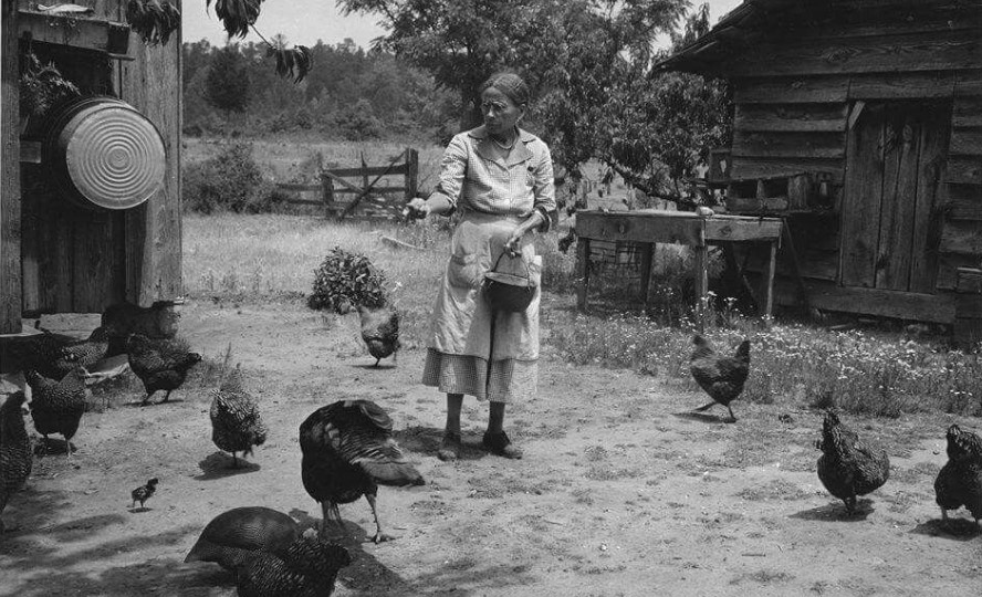 Как «бабье дело» изменило мировую экономику еды