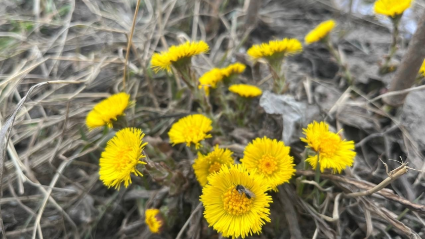    Фото из архива "Про Города Сыктывкар"