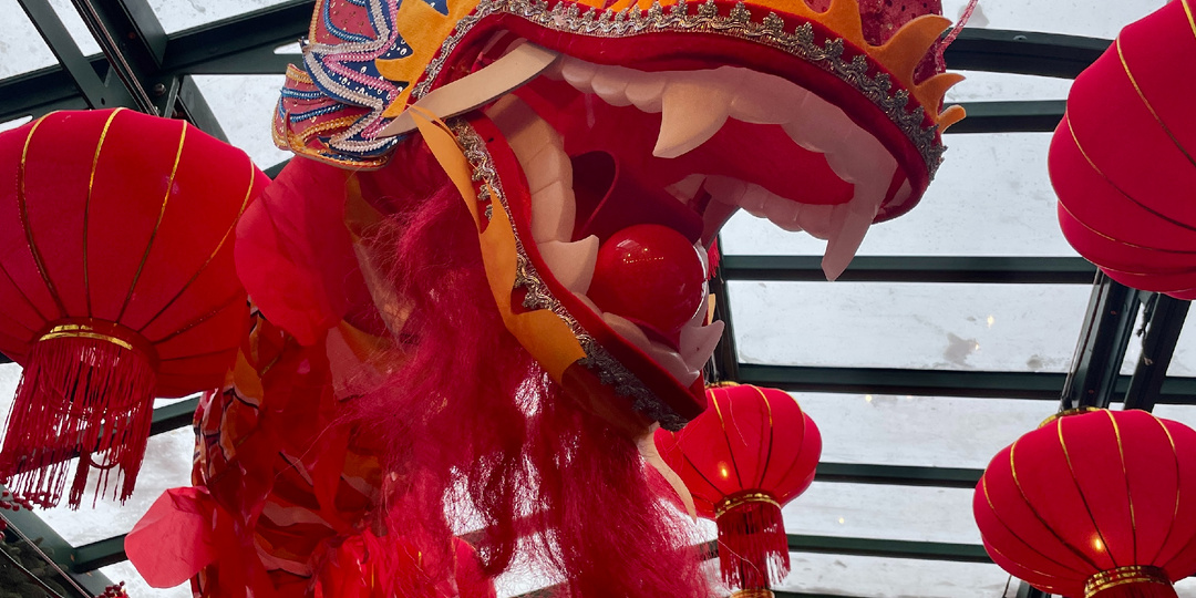 Китайский Новый год 2026: Манежная площадь в огне (драконьем!) 🐲