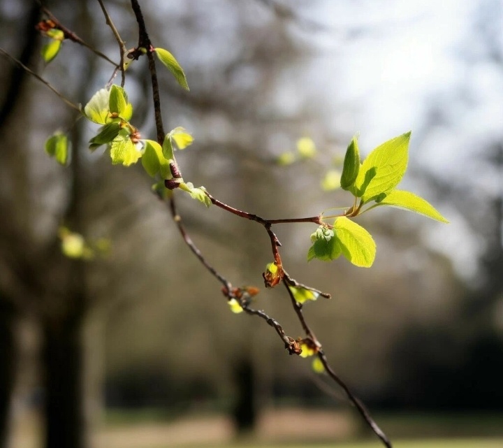 Фото из архива автора 