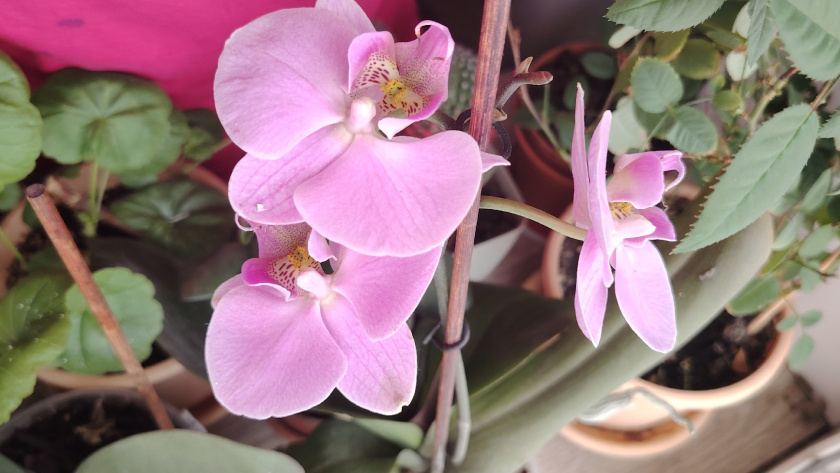    Фото редакции