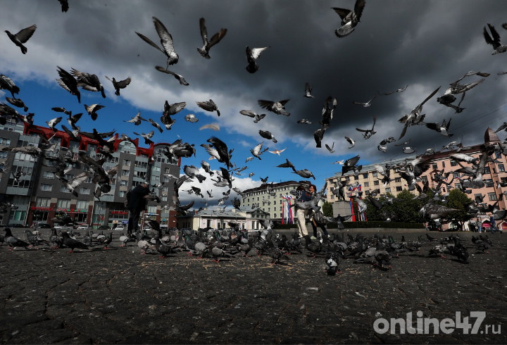 фото: Валентин Илюшин/Online47