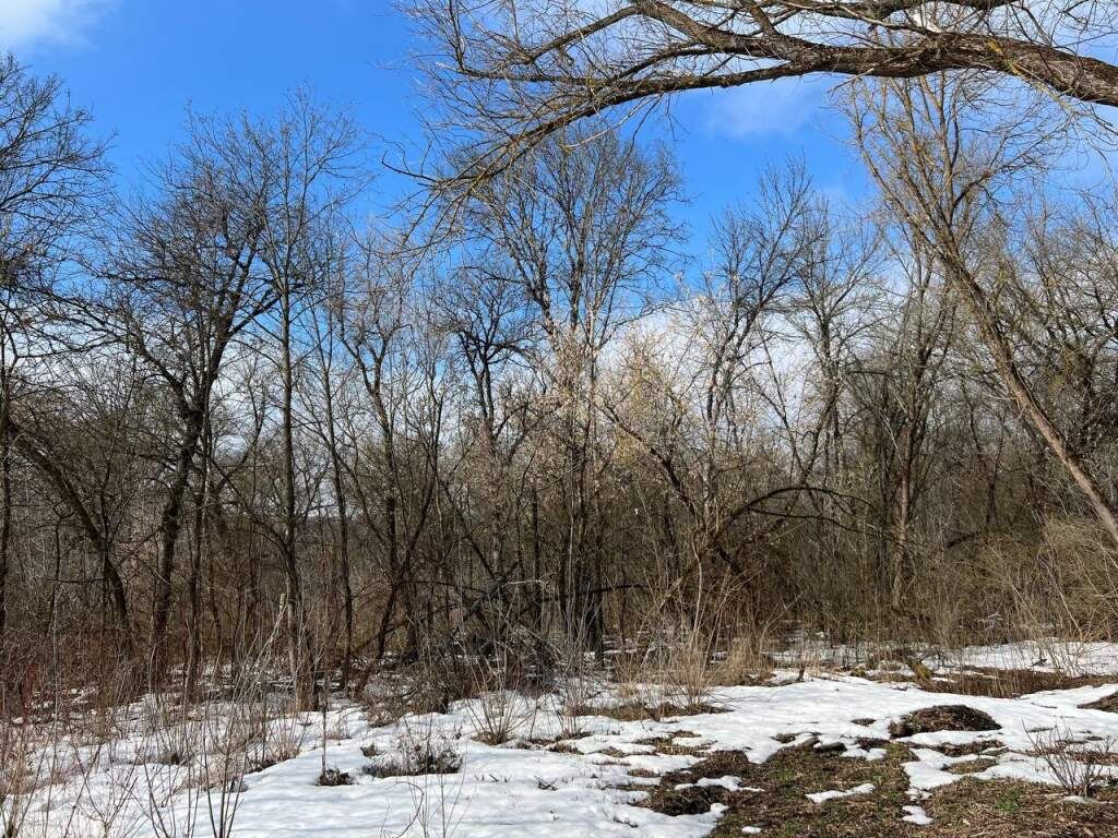    фото: "Курска аномалия"