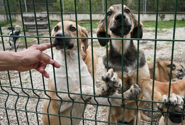 Фото: РИА Новости/Константин Михальчевский