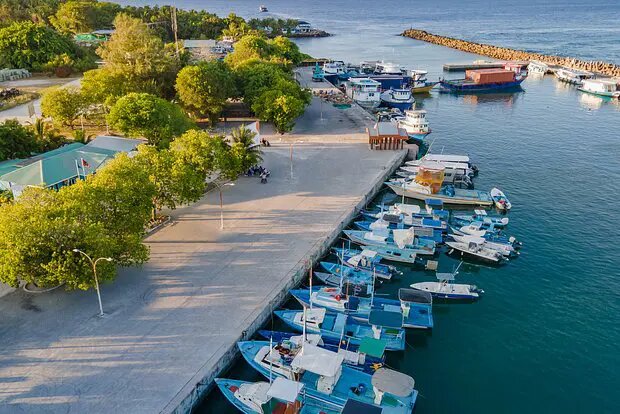    Источник: lenta.ru/ Елена