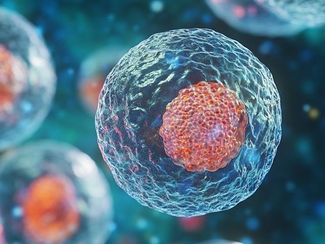 Мицелы жироподобного вещества в воде