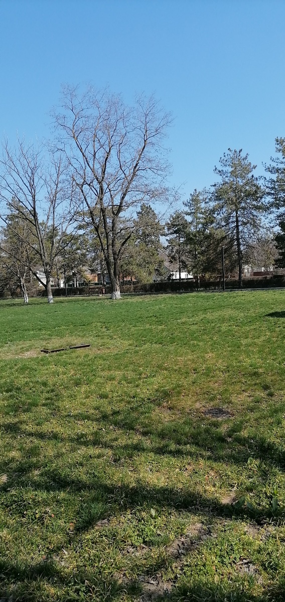 Небо голубое, глаз не оторвать