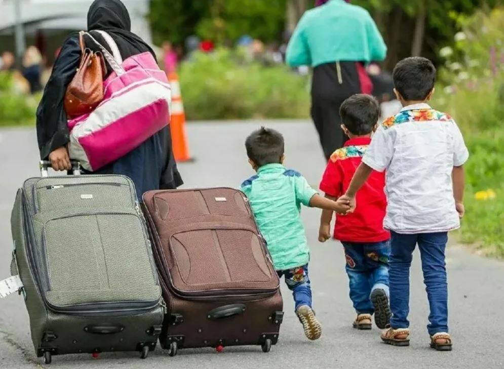 Иллюстрация из открытых источников