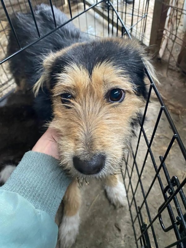     Личная страница И. Глущенко