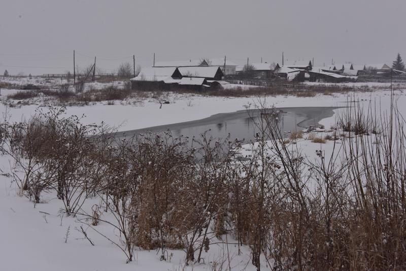 Фото: Алексей Кунилов, фотоархив «Областной газеты»