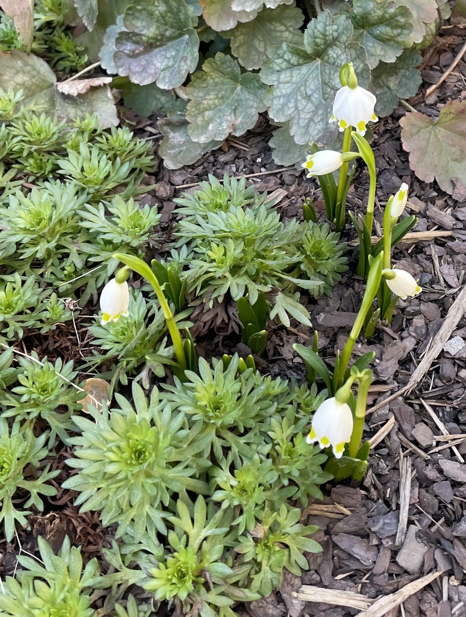 А у нас во дворе...