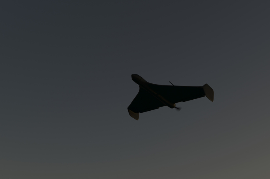    Shutterstock/FOTODOM