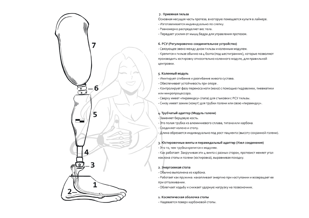 Пример строение протеза нижней конечности 