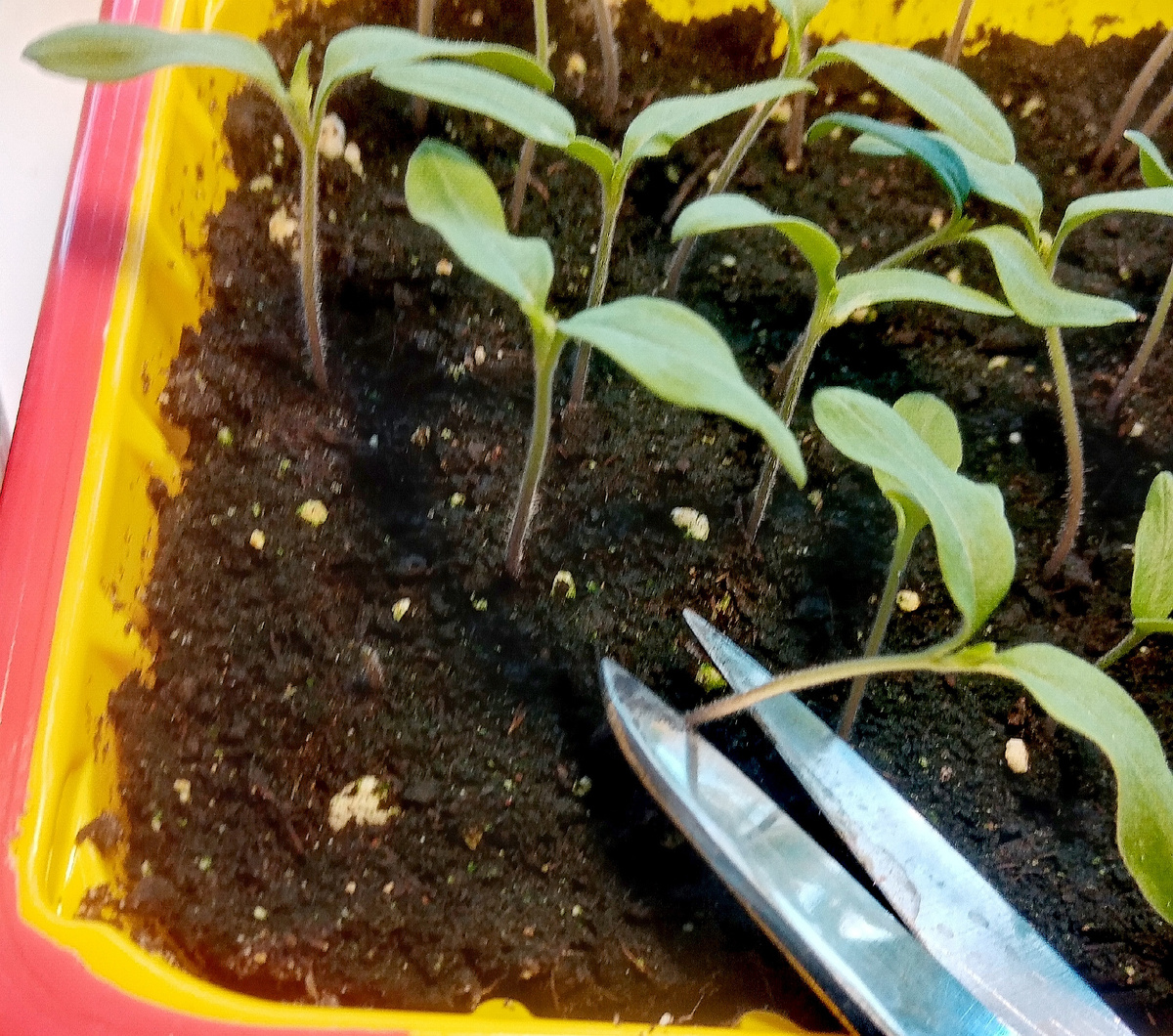 Фото автора от 22 марта.