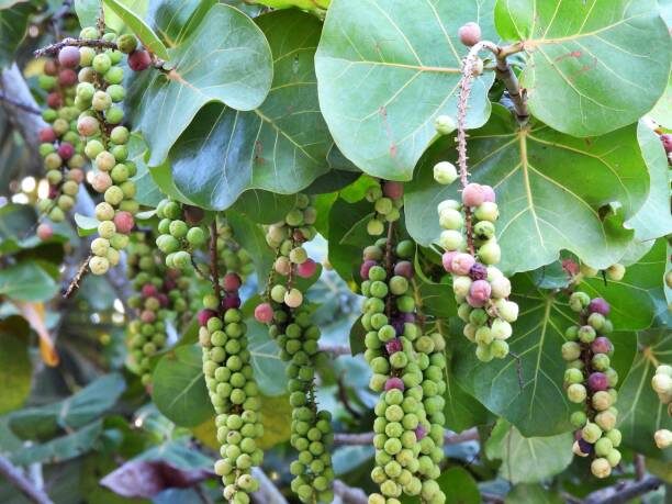 Фотография из интернета