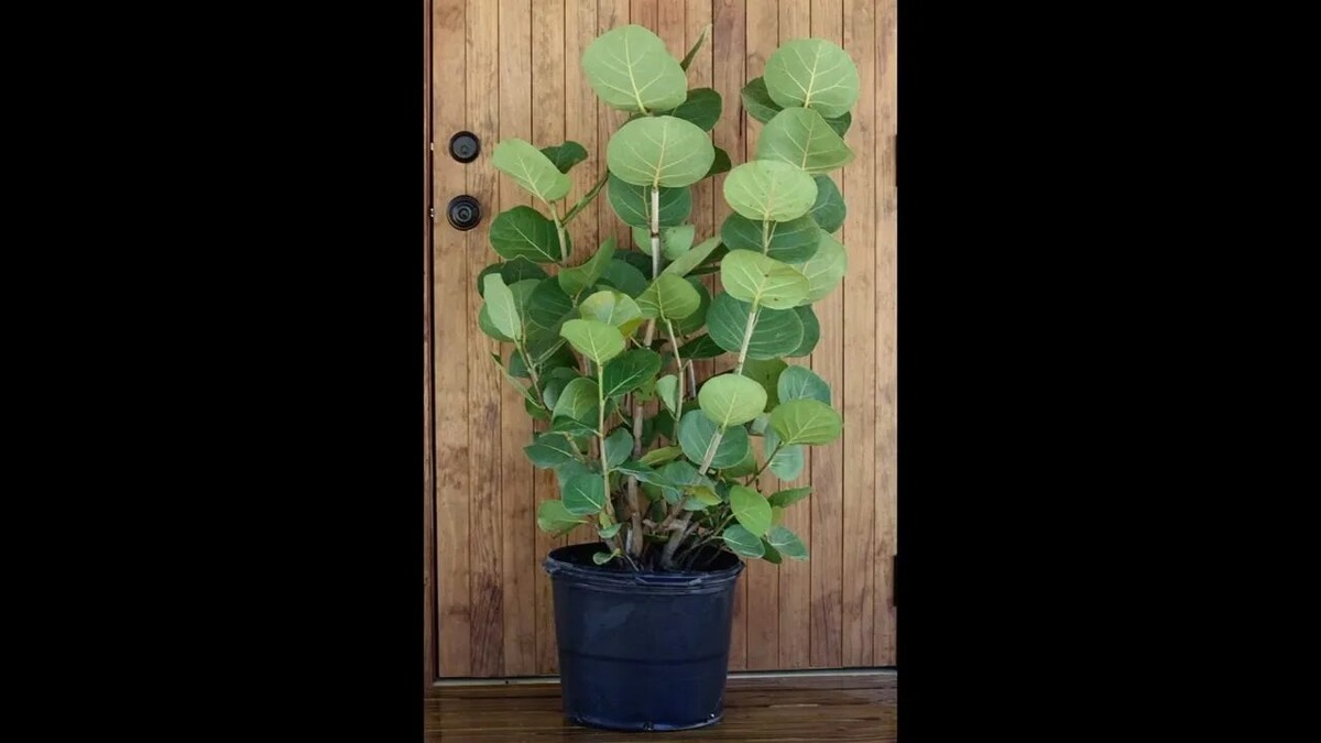 Фотография из интернета