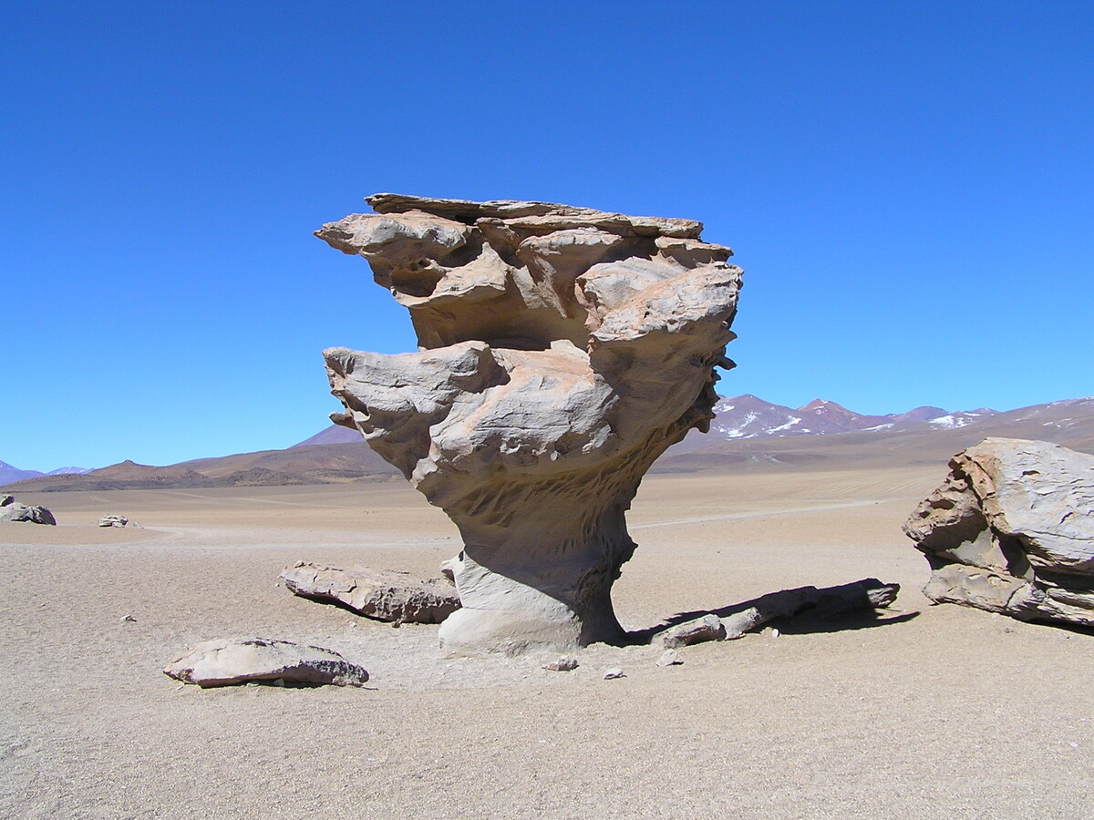 Источник фото - https://golnk.ru/L9wOv