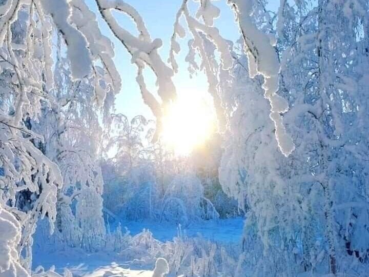 Влияние низких температур на печатную продукцию