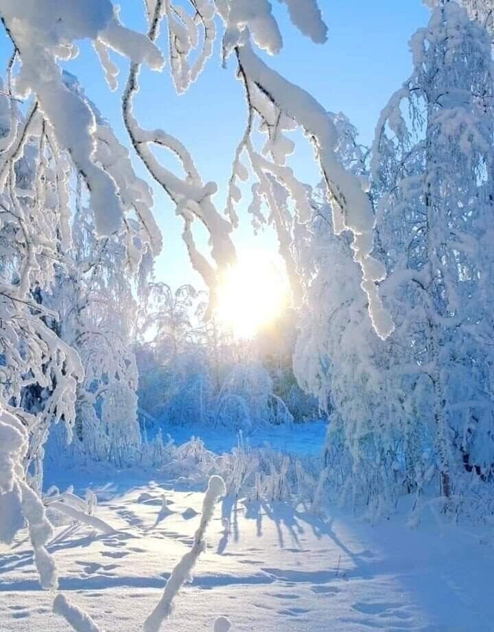 г. Санкт-Петербург, м Василеостровская 6-я линия В.О. д.3/10 Типография Павлов Принт @typography-spb.ru