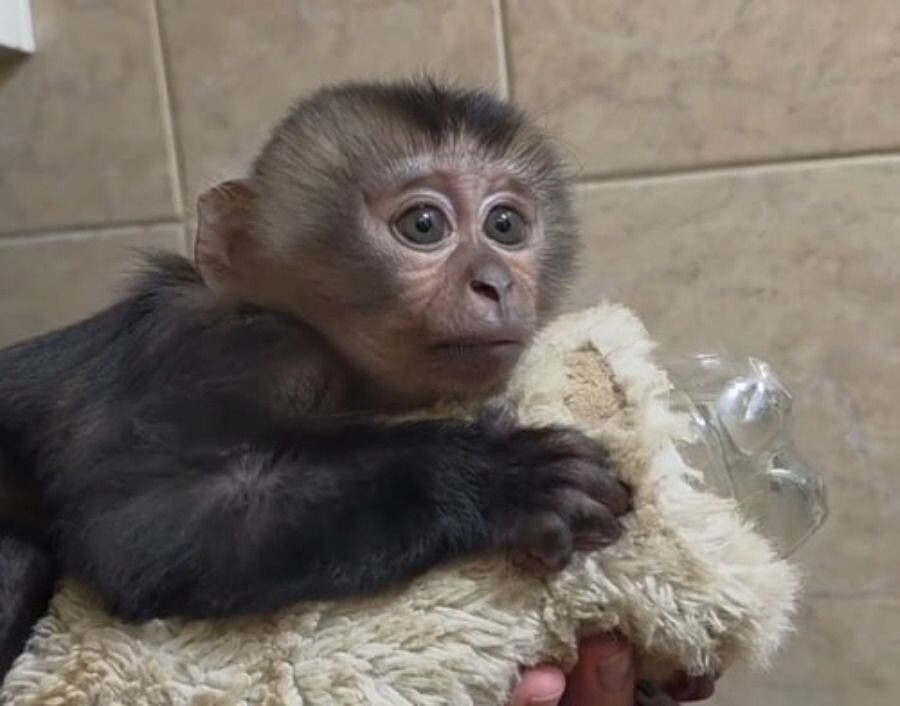     / Источник: Кадр из видео