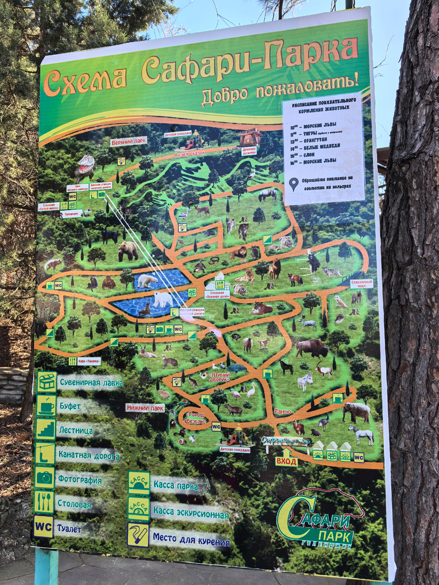 Схема парка